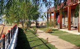 Tamanoucht